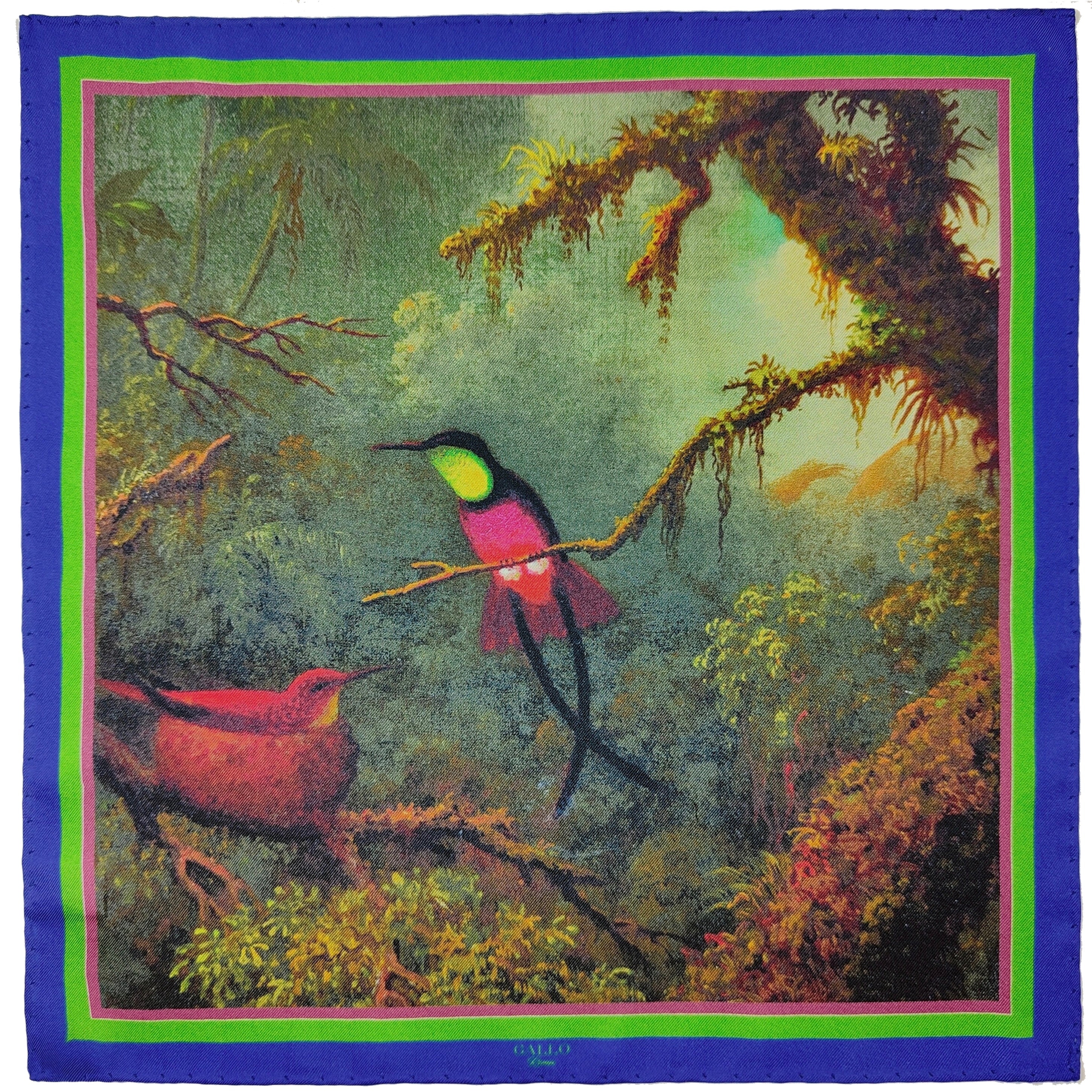 Hummingbird̀