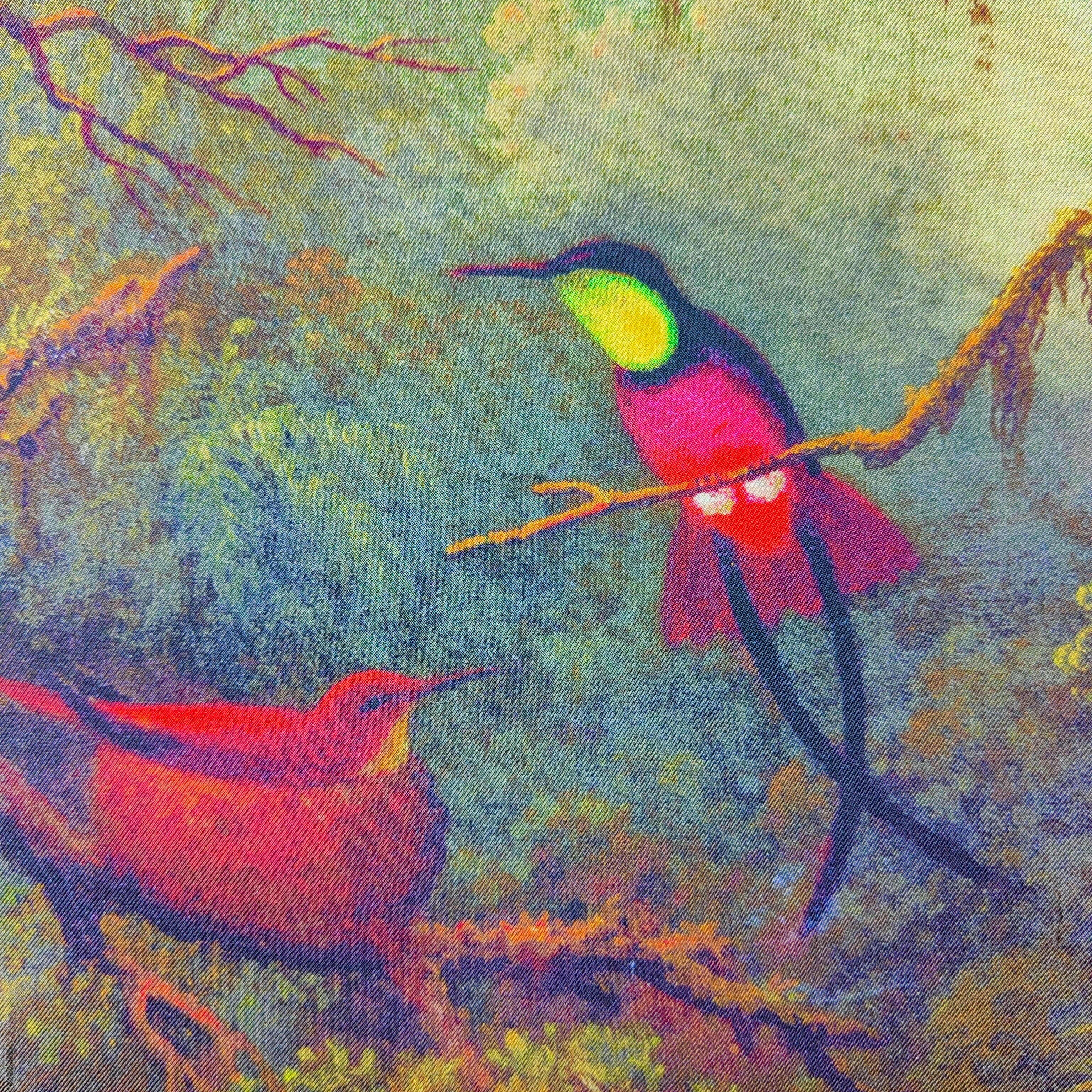 Hummingbird̀